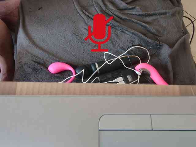 FALBALA webcam