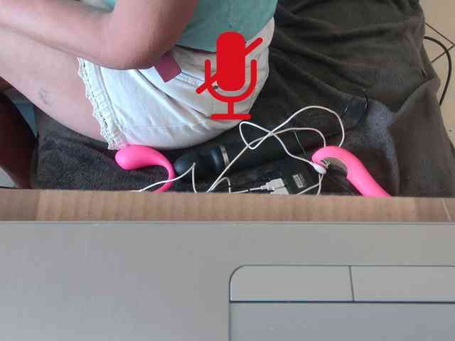 FALBALA webcam