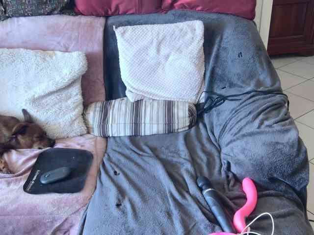 FALBALA webcam