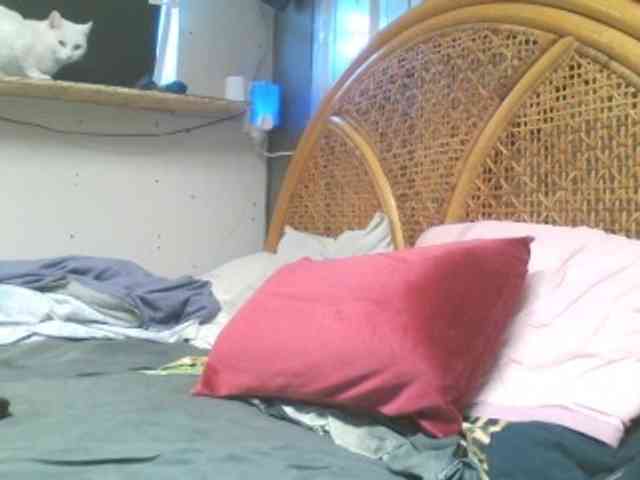 baszogepek webcam