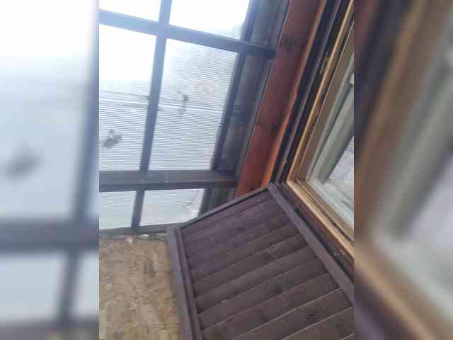 baszogepek webcam