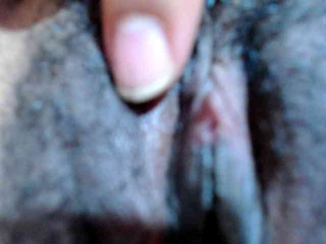 ALYASH webcam