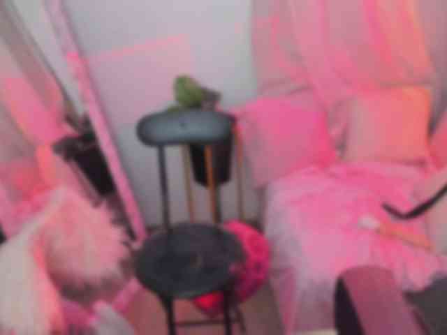 annewayne webcam