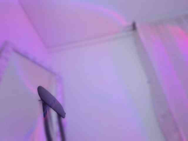 annewayne webcam