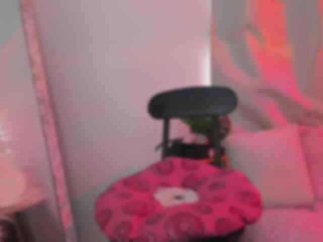 annewayne webcam
