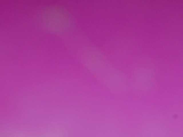 Sinfulbitch live cam on BongaCams