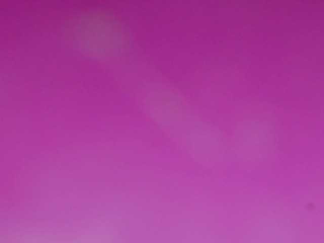 Sinfulbitch live cam on BongaCams