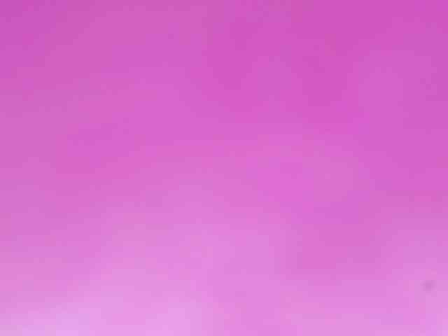 Sinfulbitch webcam