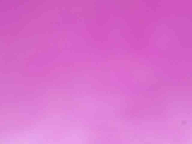 Sinfulbitch webcam