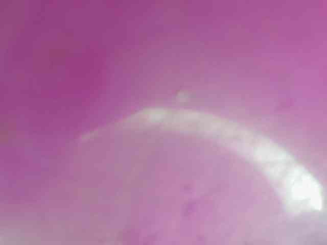 Sinfulbitch webcam