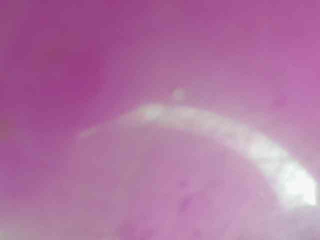 Sinfulbitch webcam