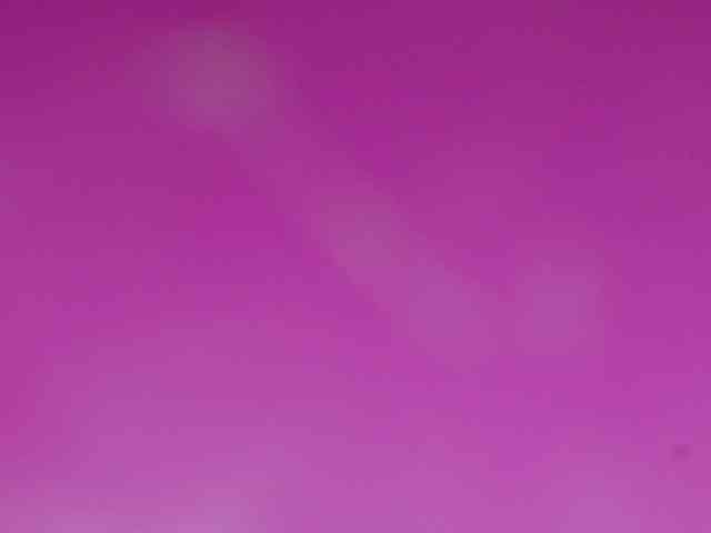 Sinfulbitch webcam