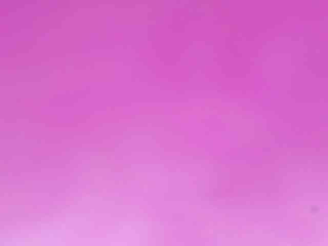 Sinfulbitch webcam