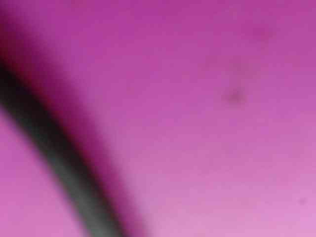 Sinfulbitch webcam