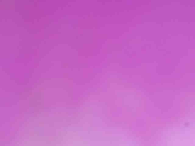 Sinfulbitch webcam