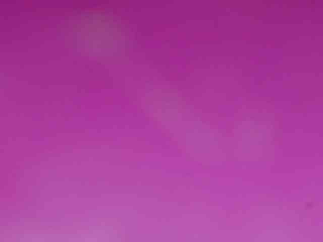 Sinfulbitch webcam