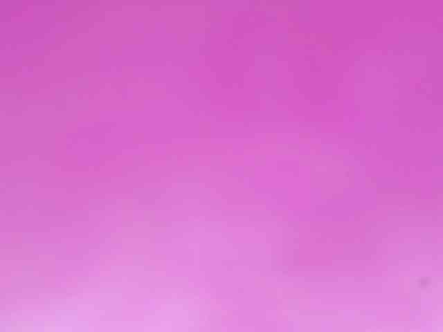 Sinfulbitch webcam