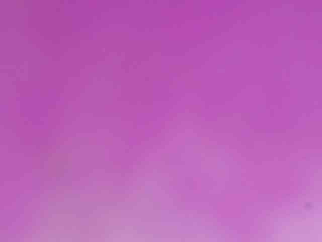 Sinfulbitch webcam