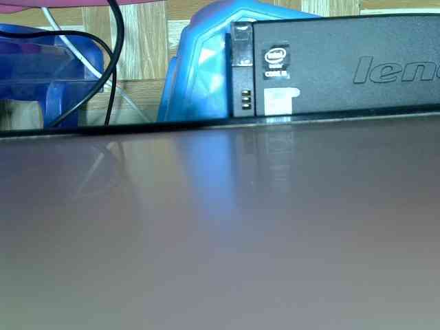 Hot-tara webcam