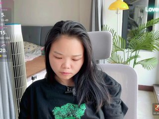 foxsusu