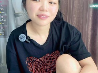 foxsusu