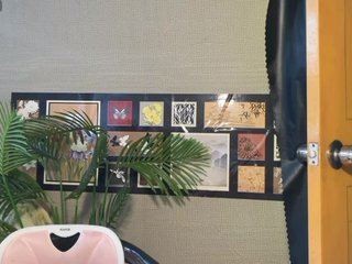 Image capture of foxsusu