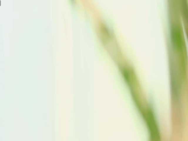 foxsusu live cam on BongaCams