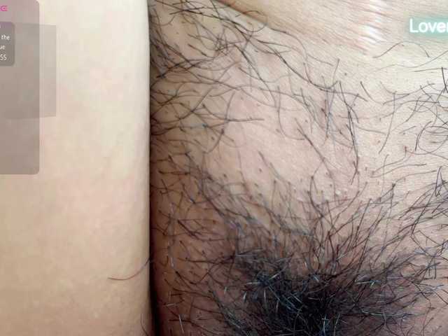 foxsusu