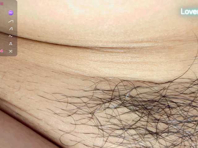 foxsusu