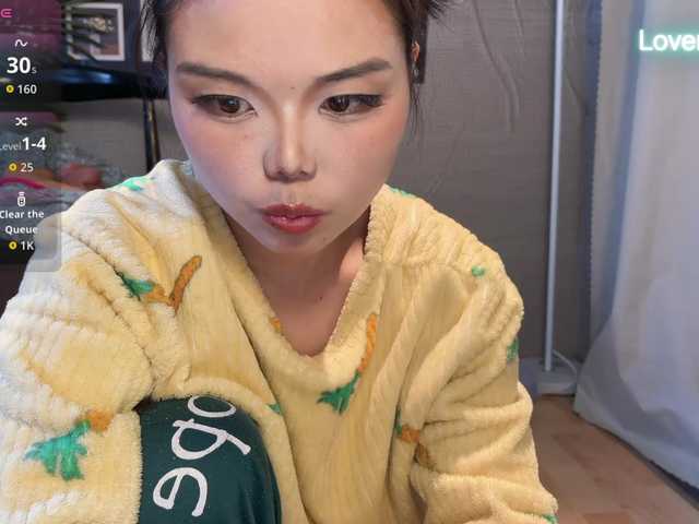 foxsusu