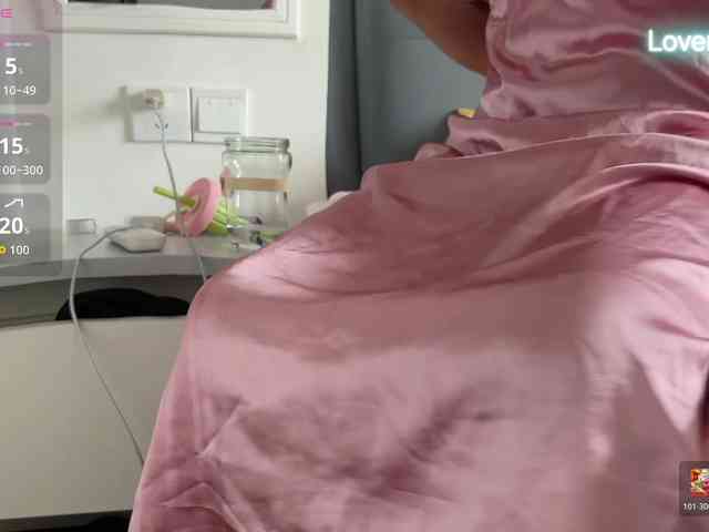foxsusu webcam
