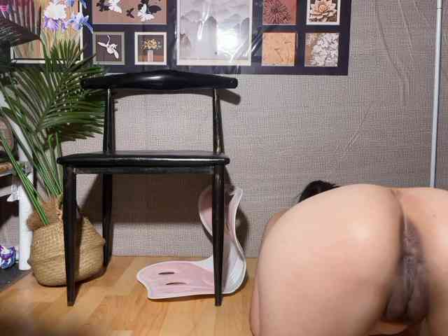 foxsusu webcam