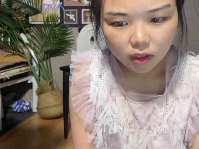 foxsusu webcam