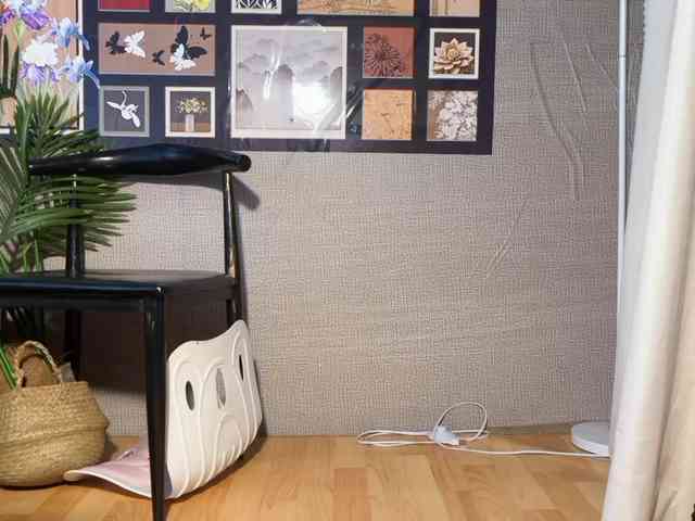 foxsusu webcam