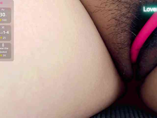 foxsusu