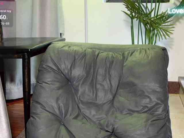 foxsusu webcam
