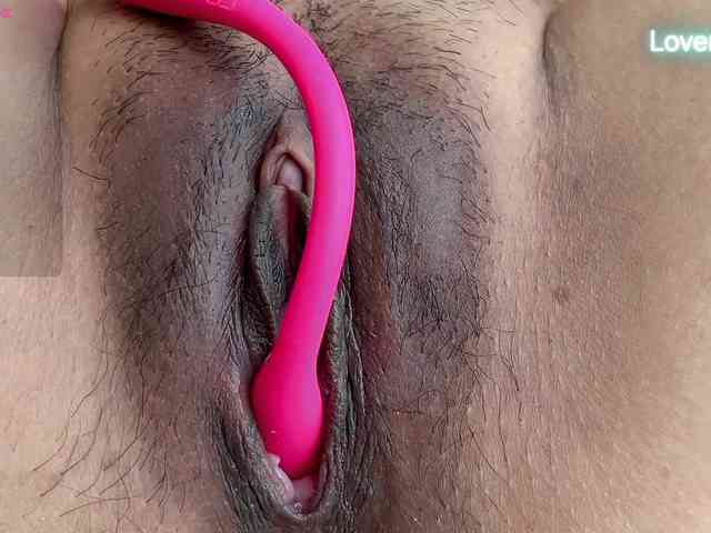 Modelo: foxsusu