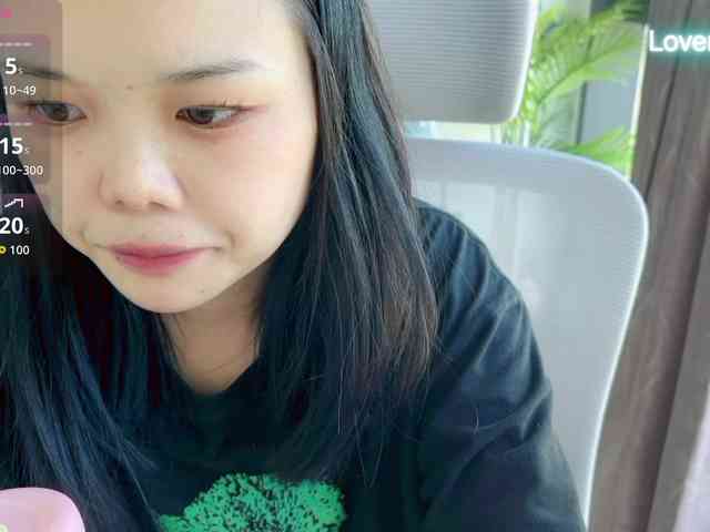 foxsusu webcam