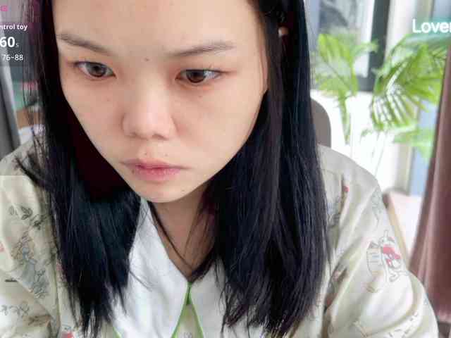 foxsusu webcam