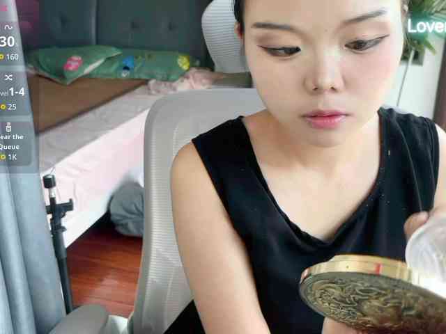 foxsusu webcam