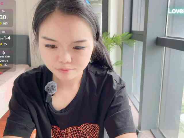 foxsusu