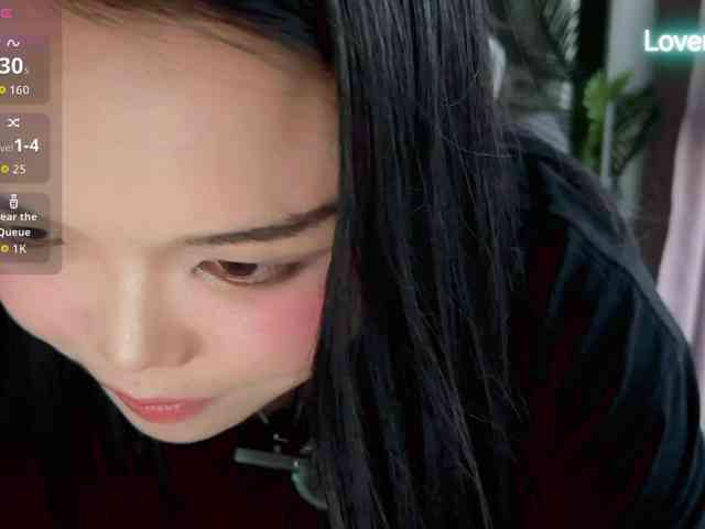 foxsusu webcam