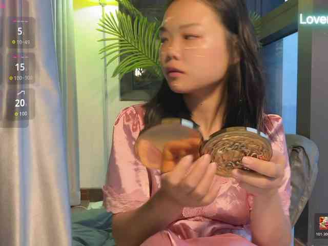 Model: foxsusu