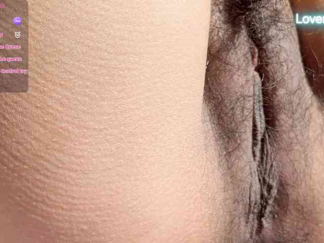 foxsusu