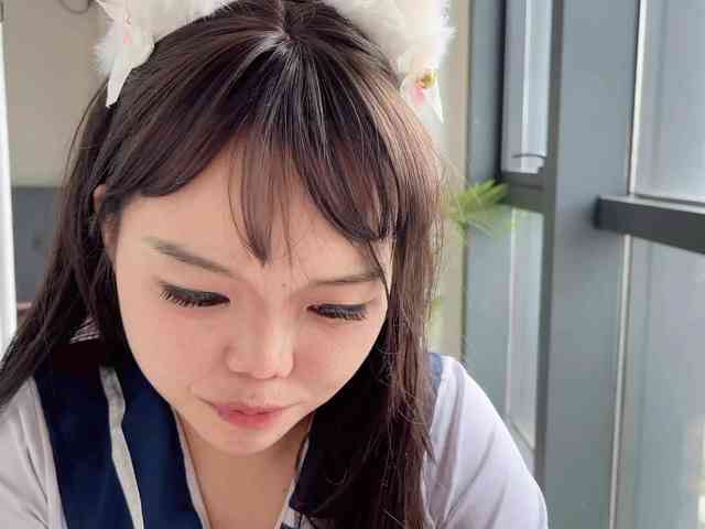 foxsusu