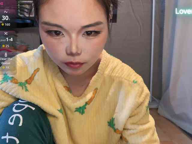 foxsusu