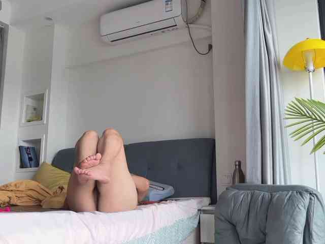 foxsusu webcam