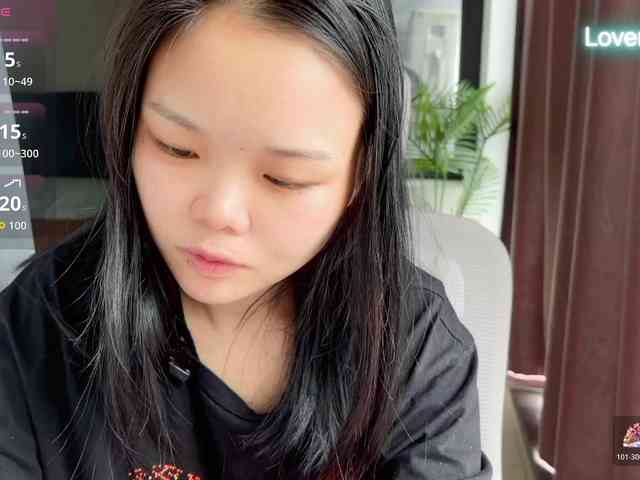 foxsusu