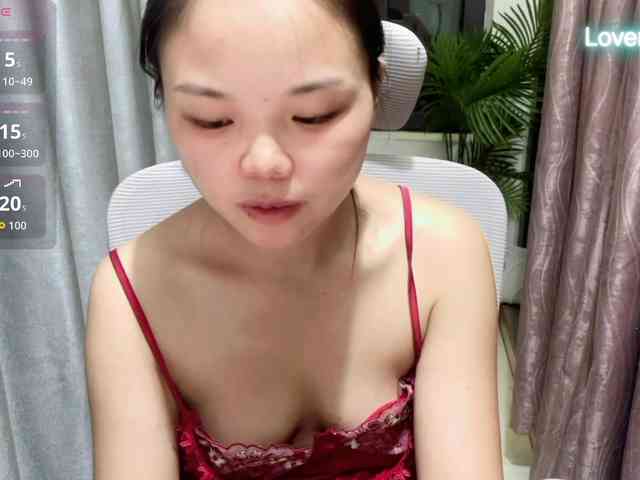foxsusu webcam