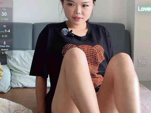 foxsusu